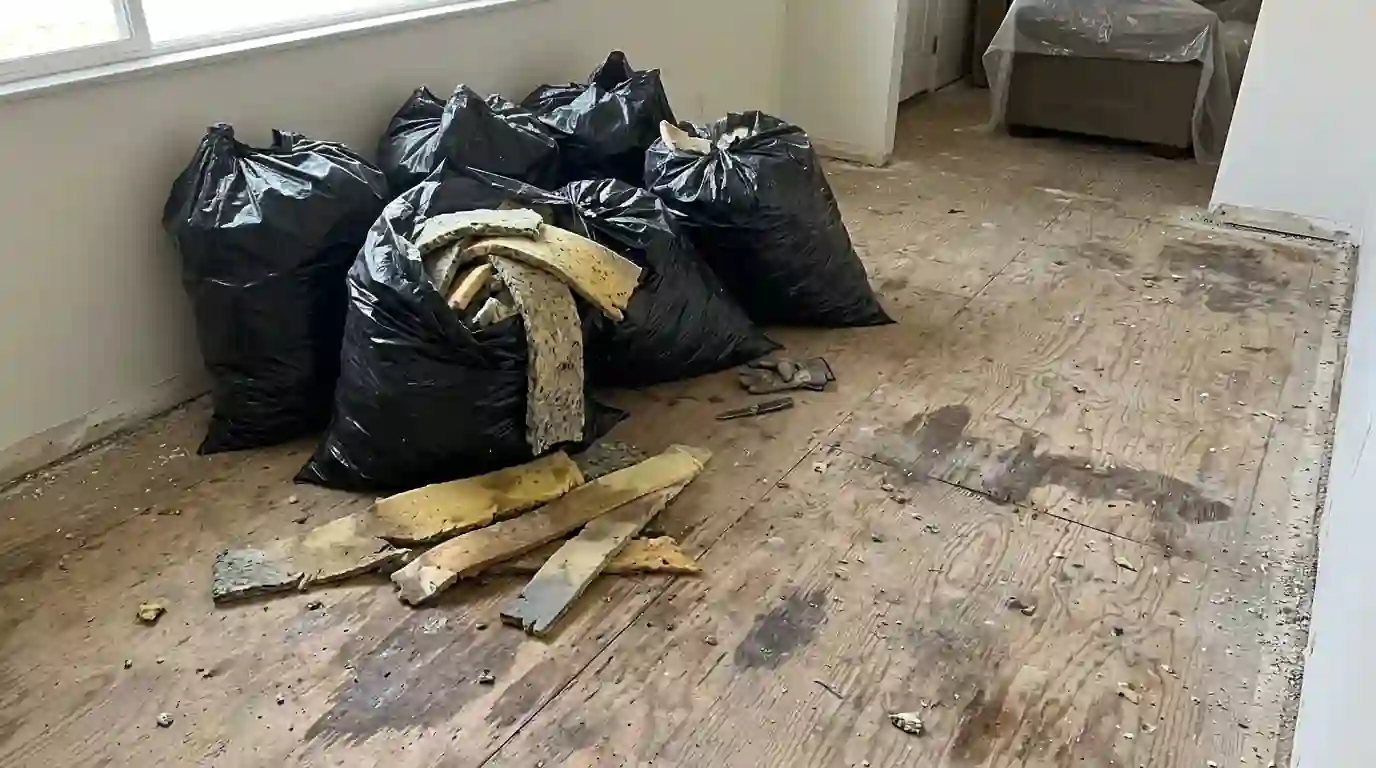 Wet carpet pad removed from a plywood subfloor